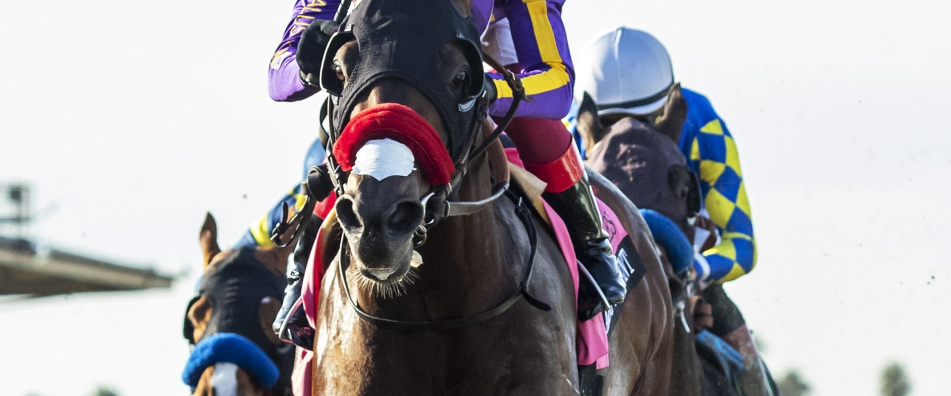 Exploring Therapeutic Riding: A Comprehensive Guide to Caroline Bailey Racing