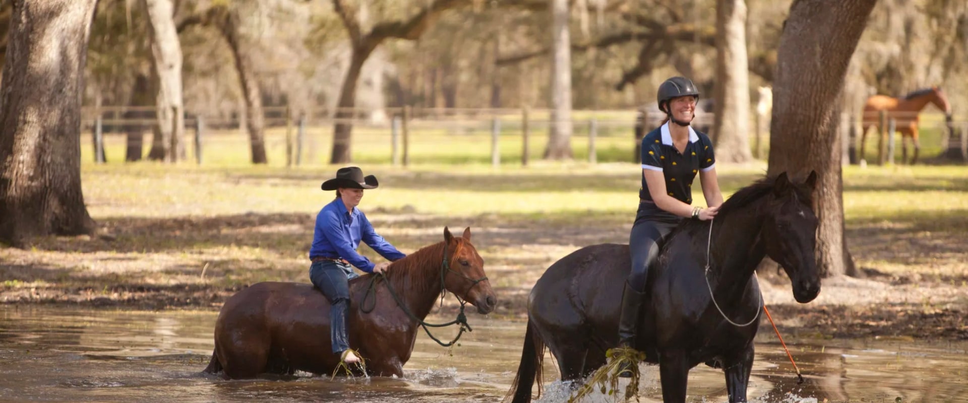 The Parelli Method: A Comprehensive Guide to Horseback Riding and Training