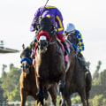 Exploring Therapeutic Riding: A Comprehensive Guide to Caroline Bailey Racing