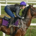 Understanding Training Methods and Philosophies in Horse Racing