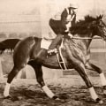 The Inspiring Story of Seabiscuit: A Legend in Horse Racing