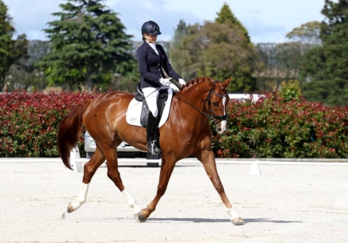 A Comprehensive Look at Dressage in the World of Equestrian Sports