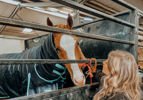 Exploring the World of Vaulting: A Comprehensive Look at Caroline Bailey Racing